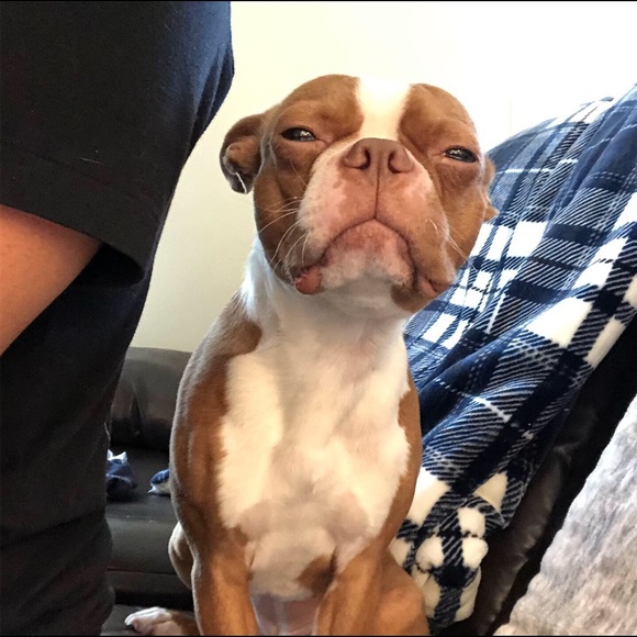 Meet your Posher, Raylene - Picture 4 of 5